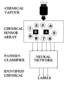 enose3